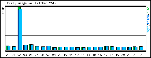 Hourly usage